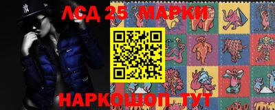 дживик Тара
