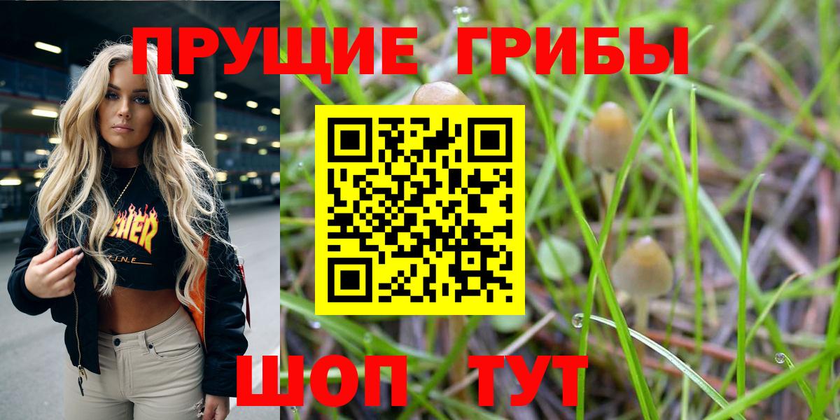 Псилоцибиновые грибы Psilocybine cubensis  Вход с VPN  Галлюциногенные грибы Psilocybe  Прокопьевск 